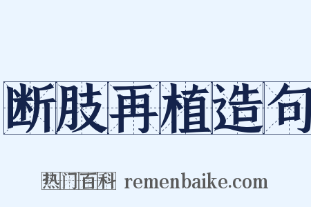 断肢再植造句是什么意思的图片